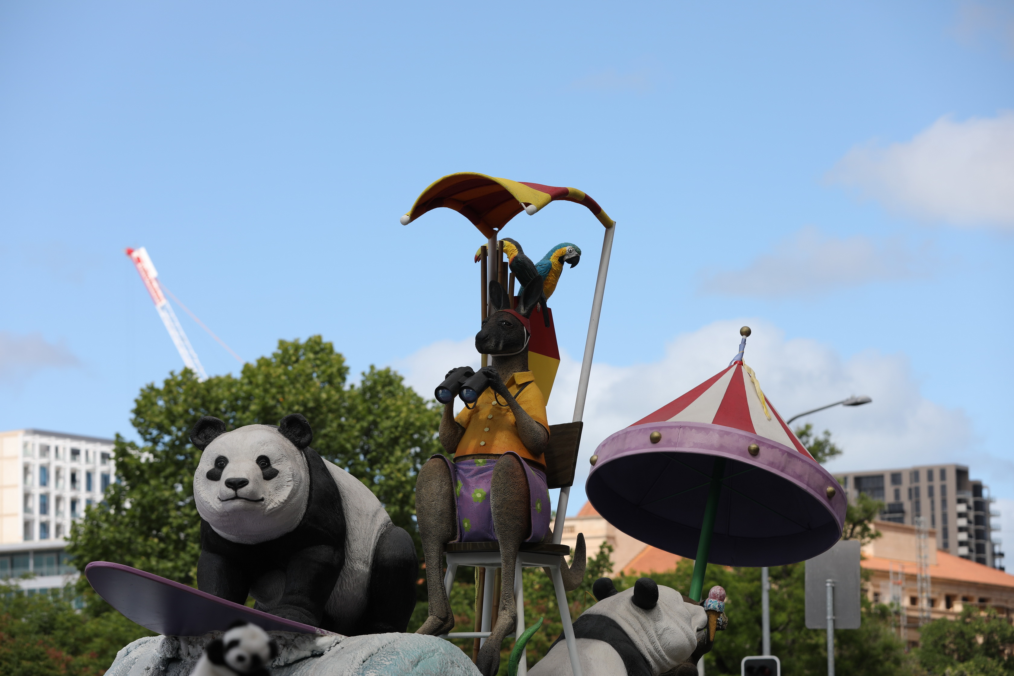 2019 11 09 10 39 06 Canon EOS 5D Mark IV 0019